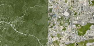 Population growth has transformed Cayman’s economy and environment