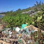 Cabinet to consider single-use plastics ban