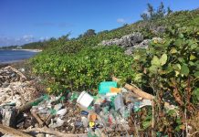 Cabinet to consider single-use plastics ban