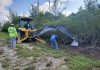 Litter Law charges considered in mangrove concrete dumping