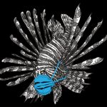 Lionfish cull tournament this weekend