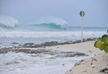 Multimedia gallery: Delta as seen in Cayman