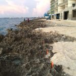 DoE yet to approve plan for removal of ironshore at FIN