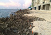 DoE yet to approve plan for removal of ironshore at FIN