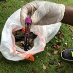 Ministry of Health to investigate medical waste on beaches