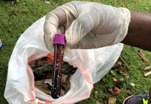 Ministry of Health to investigate medical waste on beaches