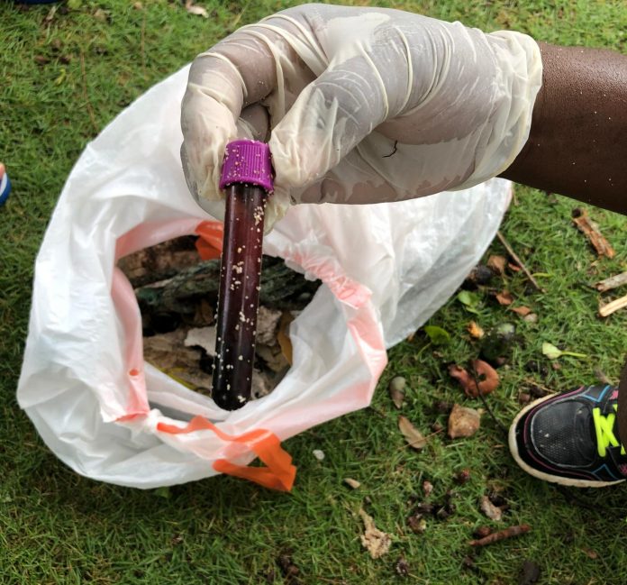 Blood vial Plastic Free clean-up