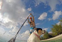 Lola SUP Cup event supports animal charity
