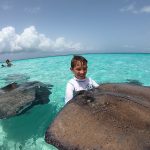 Stingray guardians to help ‘save’ sandbar
