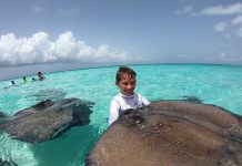 Stingray guardians to help ‘save’ sandbar