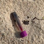 Beachgoers find vials of blood, syringe on Seven Mile