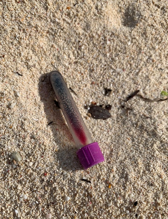 Beachgoers find vials of blood, syringe on Seven Mile Cayman Compass