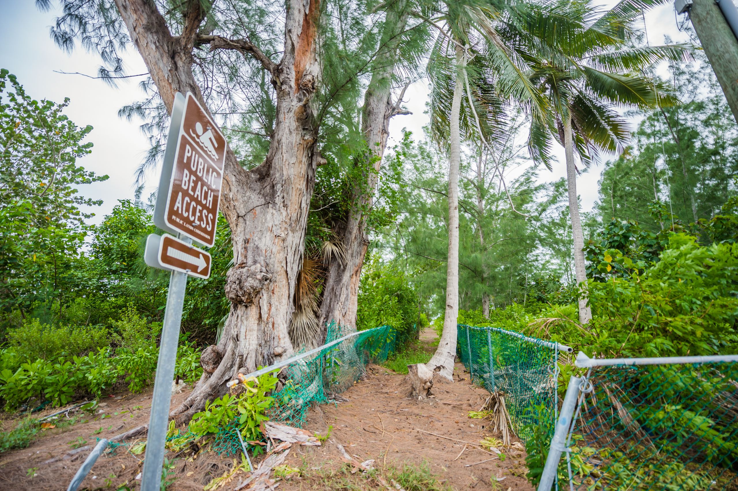 How accessible are beach accesses? Cayman Compass