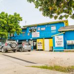 Humane Society issues urgent foster appeal