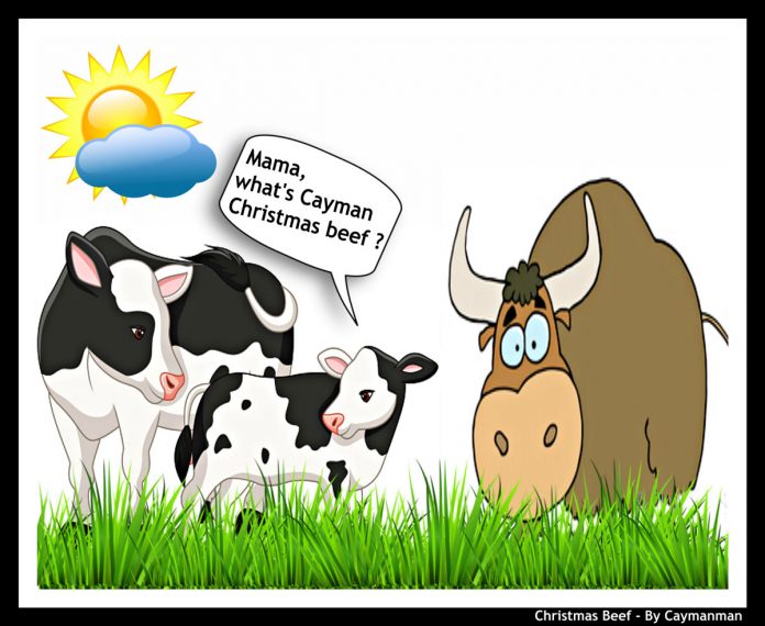 Cartoon - Christmas Beef in Cayman