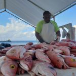 Fishermen call for gov’t to buy land for market