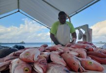 Fishermen call for gov’t to buy land for market