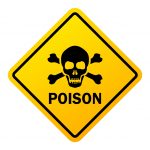 Dogs poisoned in West Bay