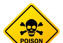 Dogs poisoned in West Bay