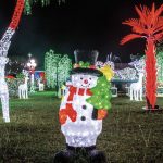 Christmas in the time of COVID-19