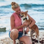 Find an animal companion