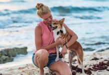 Find an animal companion