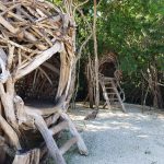 Botanic Park hosts Family Fun Day