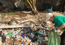 Beach clean-up volunteers find more blood vials, syringes