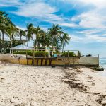 Beach-loss properties want gov’t help