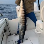Natural Marine World Tidbits