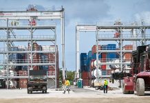 Global trade recovers but container shortage lingers on