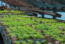 Farming grows independence, minister says