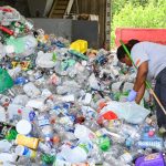 Tracking Cayman’s recyclables