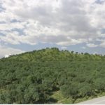 Environment assessment terms for ReGen agreed; financing deal still pending