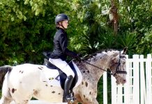 Cayman completes year’s first CEA Dressage Challenge