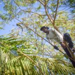 Environmental Protection Fund grows by $1 million