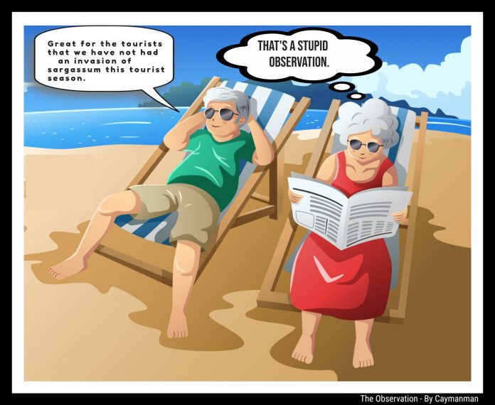 Cartoon on beach seaweed