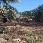 Stop notices issued after illegal mangrove clearing