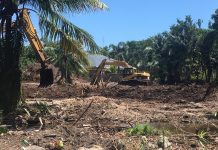 Stop notices issued after illegal mangrove clearing