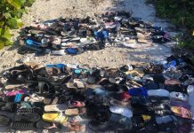 Volunteers remove 1.5 tons of trash from Little Cayman beaches