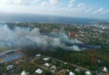 Updated: Windsor Park brushfire extinguished