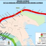 Deadly coral disease spreads east