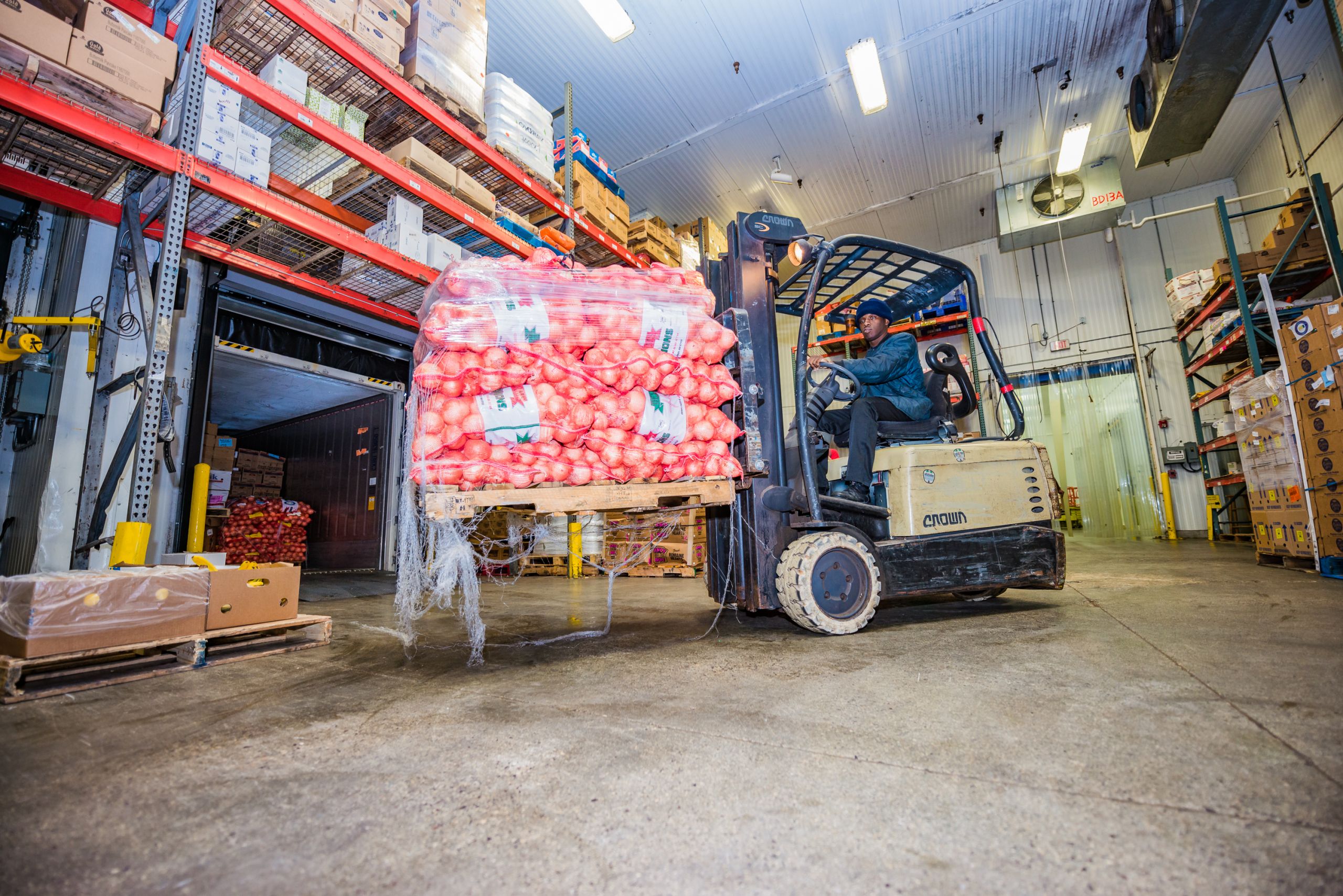 Planes, trucks and freighters: Unravelling the global supply chain that ...