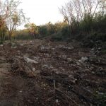 Daggaro clears land for its Brac airbase