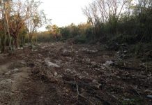 Daggaro clears land for its Brac airbase