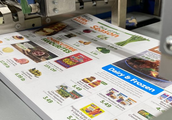 CMYK offset Printing on Grand Cayman