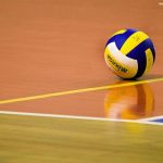 Volleyball federation seeks full-time technical director