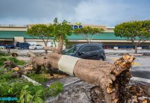 What’s on the horizon for the 2021 hurricane season? Flooding and sustained winds during Tropical Storm Eta in November last year caused power outages and downed trees across all three islands.