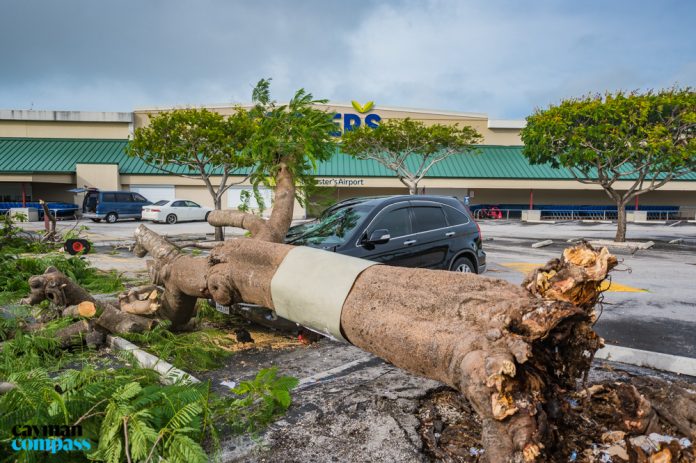 Flooding and sustained winds during Tropical Storm Eta in November last year caused power outages and downed trees across all three islands.