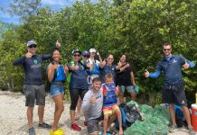 Volunteers clear 400 pounds of debris from West Bay mangroves